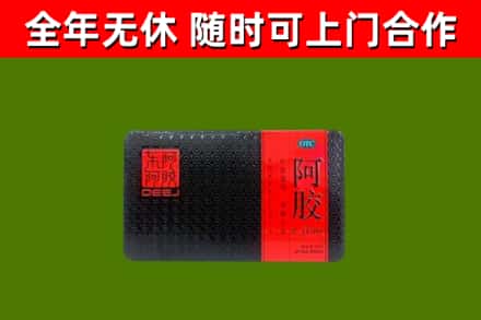 理县回收阿胶